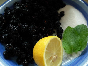 blackberry coulis