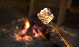 marshmallowonbonfire