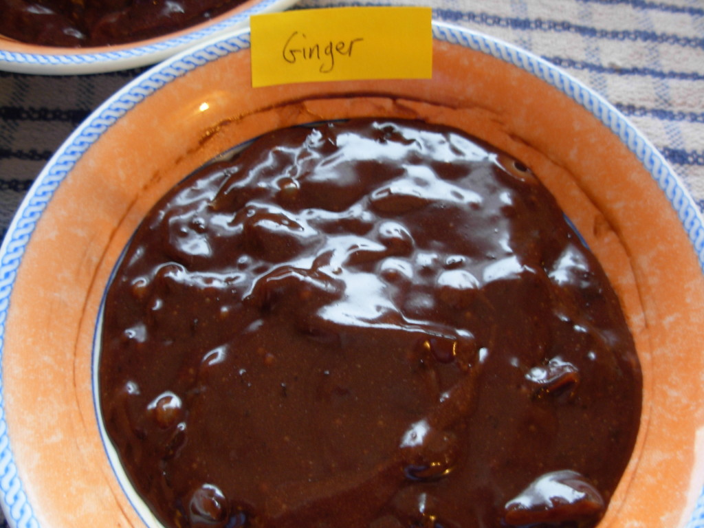 chocolate ginger mix