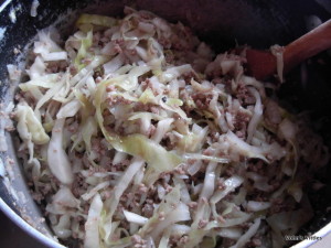 Mince and cabbage