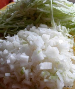 Sliced cabbage and onion