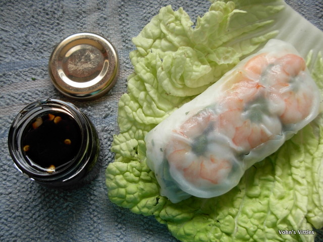 Vietnamese Spring Roll