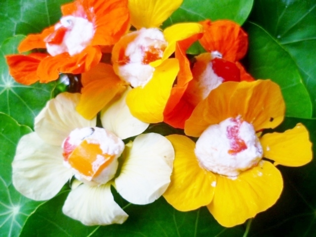 Stuffed nasturtium flowers