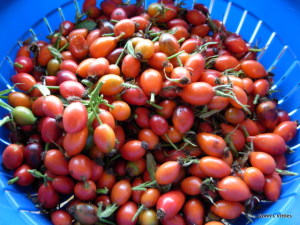 Rose hip recipes