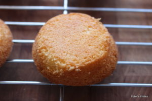 Jaffa cakes - sponge success